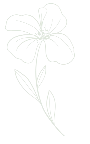 Plante