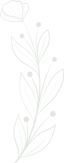 Plante