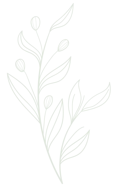 Plante