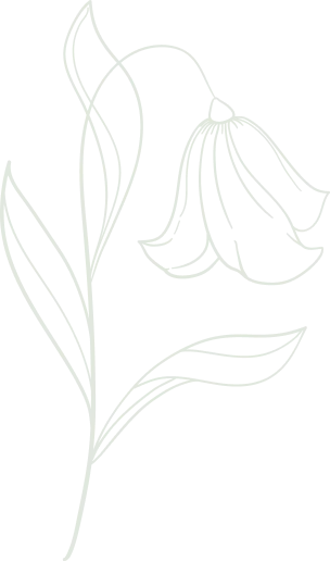 Plante